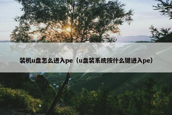 装机u盘怎么进入pe（u盘装系统按什么键进入pe）