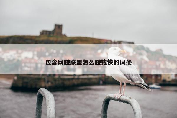 包含网赚联盟怎么赚钱快的词条