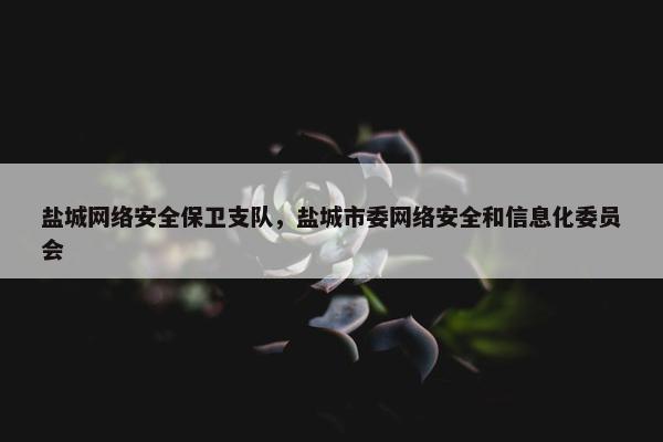 盐城网络安全保卫支队，盐城市委网络安全和信息化委员会