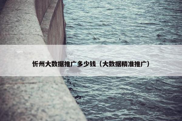 忻州大数据推广多少钱（大数据精准推广）