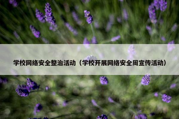 学校网络安全整治活动（学校开展网络安全周宣传活动）