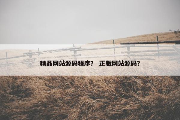 精品网站源码程序？ 正版网站源码？