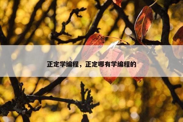 正定学编程，正定哪有学编程的