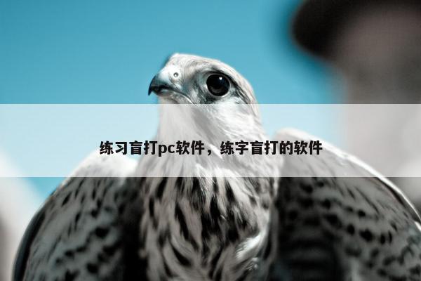 练习盲打pc软件，练字盲打的软件