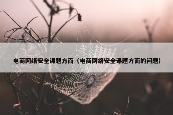 电商网络安全课题方面（电商网络安全课题方面的问题）