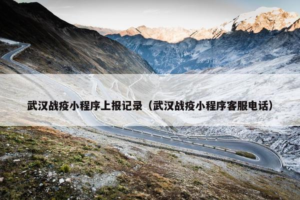 武汉战疫小程序上报记录（武汉战疫小程序客服电话）