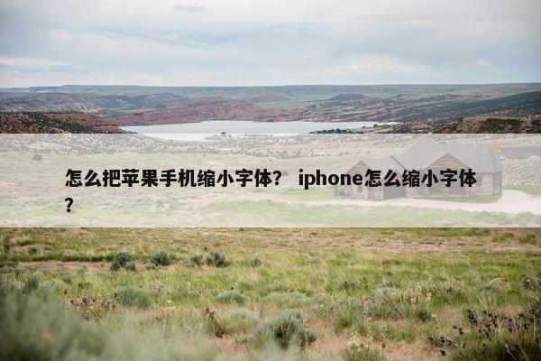 怎么把苹果手机缩小字体？ iphone怎么缩小字体？