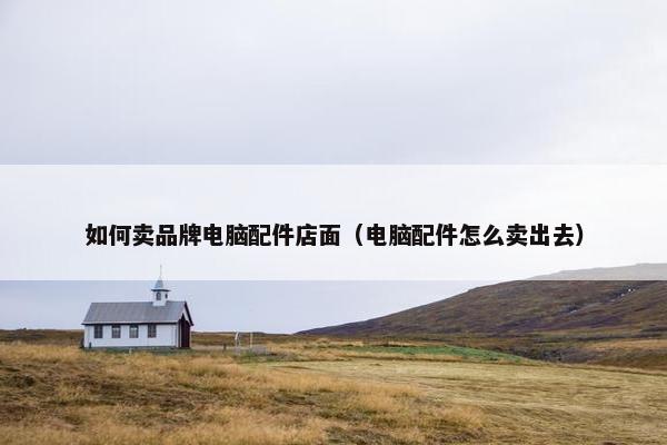 如何卖品牌电脑配件店面（电脑配件怎么卖出去）