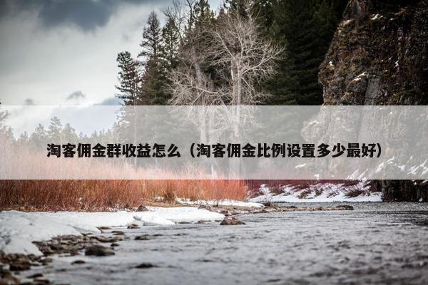 淘客佣金群收益怎么（淘客佣金比例设置多少最好）