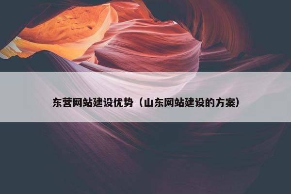 东营网站建设优势（山东网站建设的方案）
