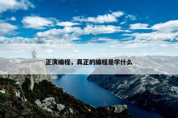 正演编程，真正的编程是学什么