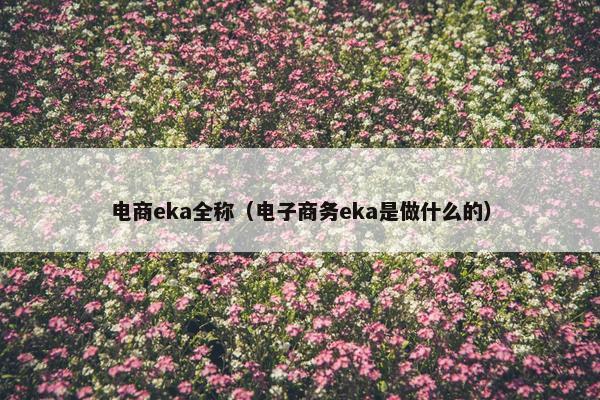 电商eka全称（电子商务eka是做什么的）