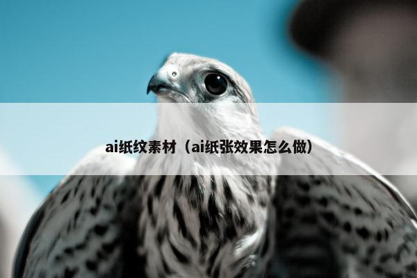 ai纸纹素材（ai纸张效果怎么做）