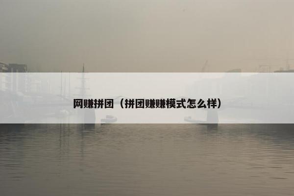 网赚拼团（拼团赚赚模式怎么样）