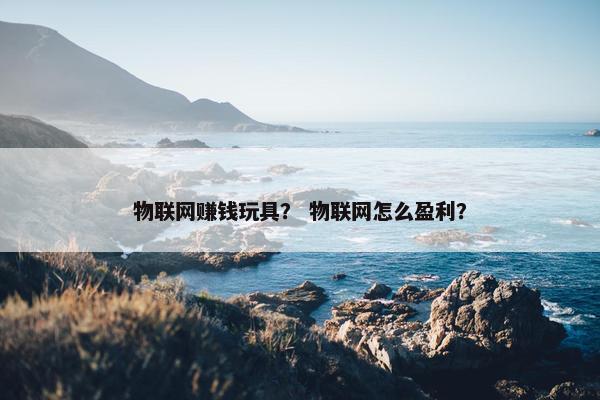 物联网赚钱玩具？ 物联网怎么盈利？