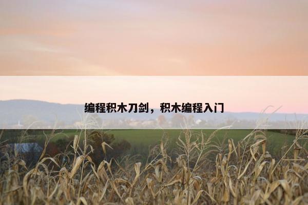 编程积木刀剑，积木编程入门