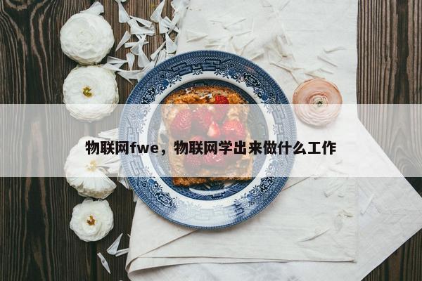 物联网fwe，物联网学出来做什么工作