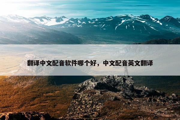 翻译中文配音软件哪个好，中文配音英文翻译