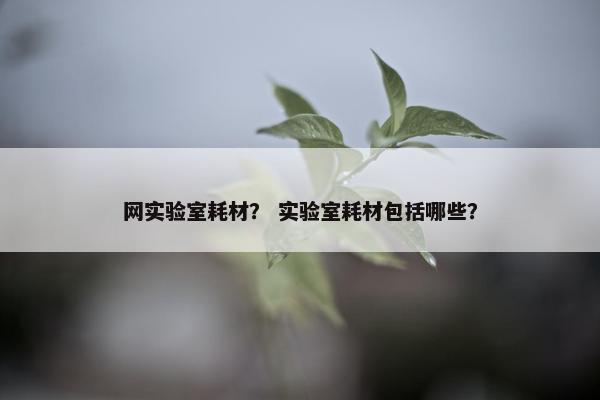 网实验室耗材？ 实验室耗材包括哪些？