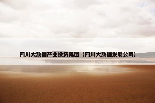 四川大数据产业投资集团（四川大数据发展公司）