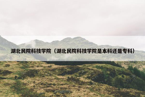 湖北民院科技学院（湖北民院科技学院是本科还是专科）