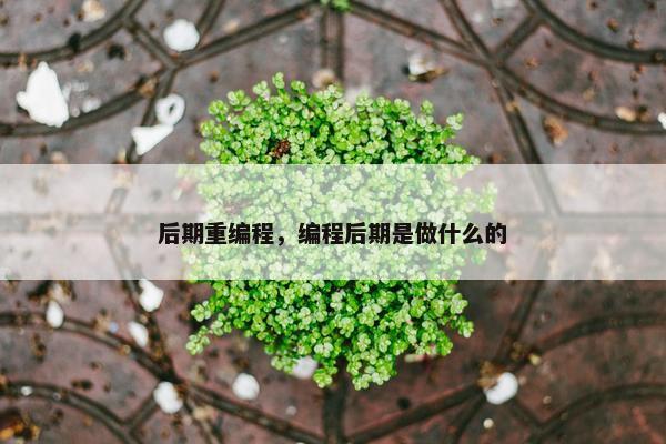 后期重编程,编程后期是做什么的 后期重编程,编程后期是做什么的