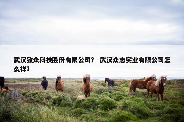 武汉致众科技股份有限公司？ 武汉众志实业有限公司怎么样？