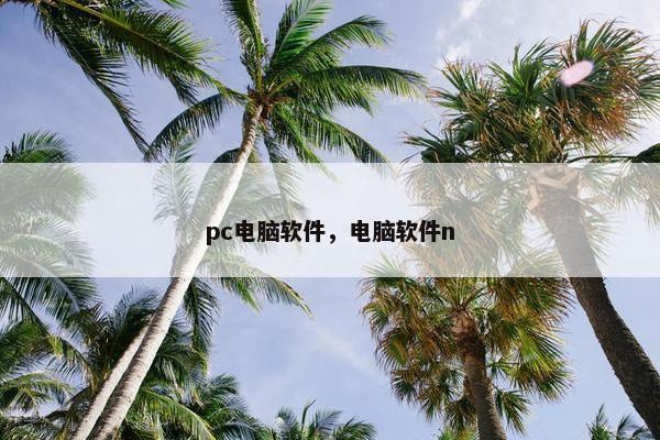pc电脑软件，电脑软件n