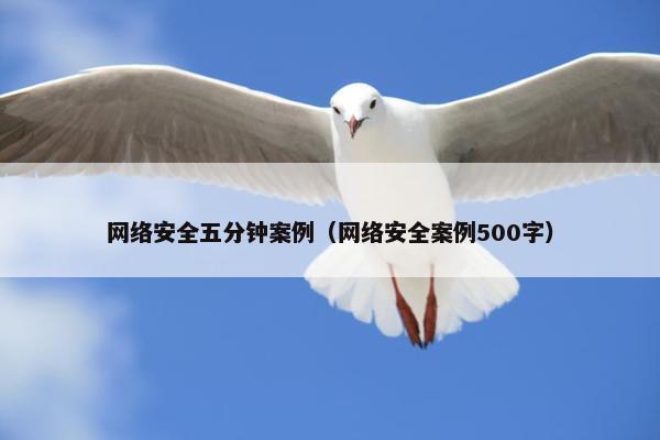 网络安全五分钟案例（网络安全案例500字）