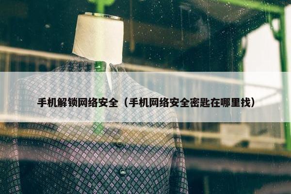手机解锁网络安全（手机网络安全密匙在哪里找）