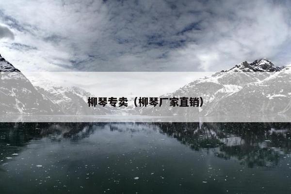 柳琴专卖（柳琴厂家直销）