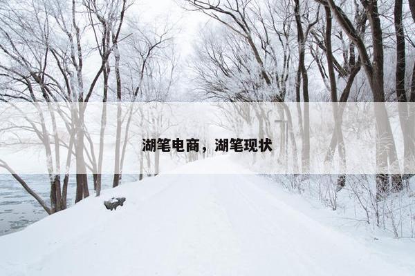 湖笔电商，湖笔现状