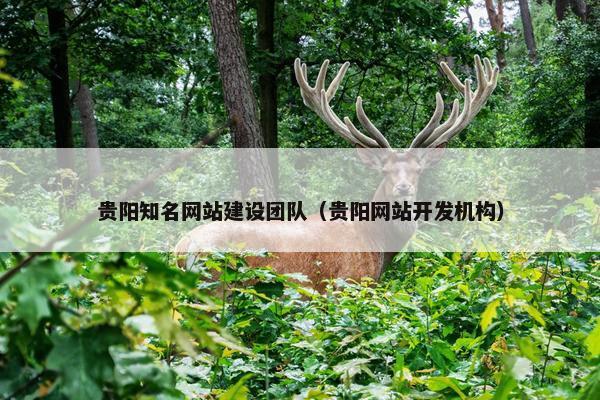 贵阳知名网站建设团队（贵阳网站开发机构）