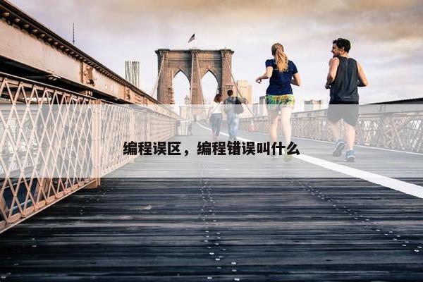 编程误区，编程错误叫什么