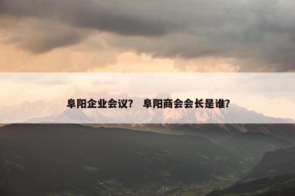 阜阳企业会议？ 阜阳商会会长是谁？