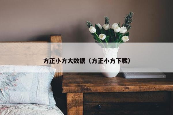 方正小方大数据（方正小方下载）