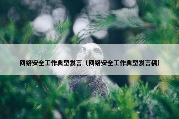 网络安全工作典型发言(网络安全工作典型发言稿) 网络安全工作典型发言(网络安全工作典型发言稿)