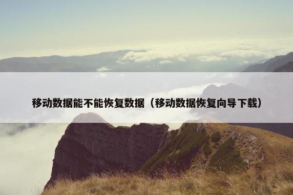 移动数据能不能恢复数据（移动数据恢复向导下载）