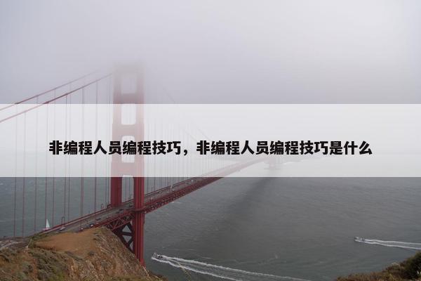非编程人员编程技巧，非编程人员编程技巧是什么