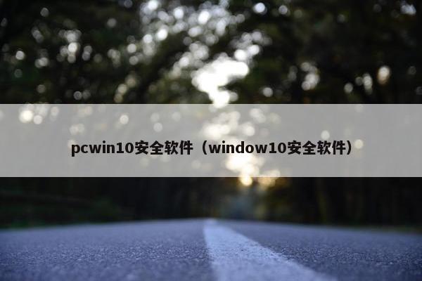 pcwin10安全软件（window10安全软件）
