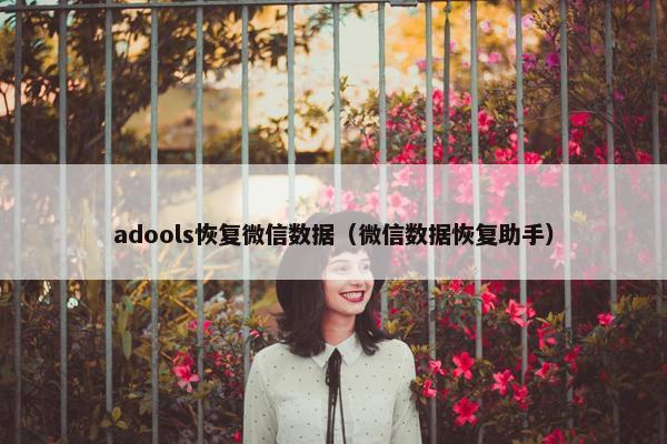 adools恢复微信数据（微信数据恢复助手）