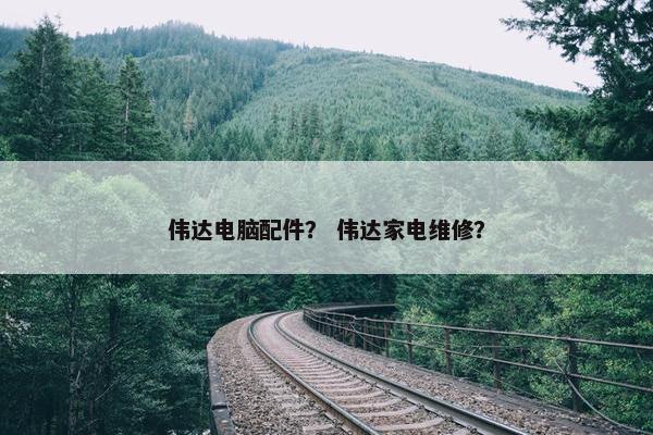 伟达电脑配件？ 伟达家电维修？