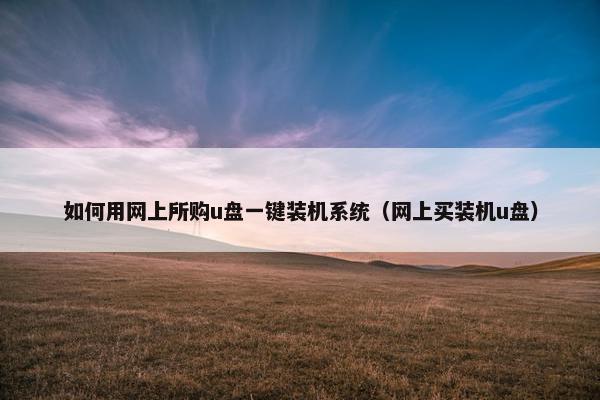 如何用网上所购u盘一键装机系统（网上买装机u盘）