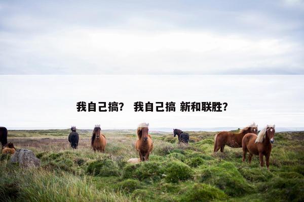 我自己搞？ 我自己搞 新和联胜？