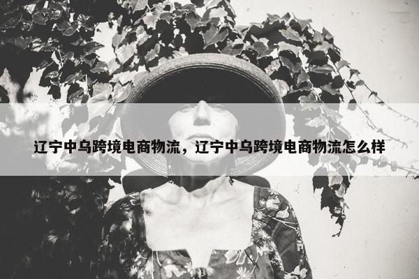 辽宁中乌跨境电商物流，辽宁中乌跨境电商物流怎么样