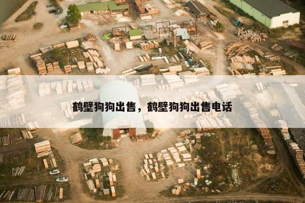 鹤壁狗狗出售，鹤壁狗狗出售电话