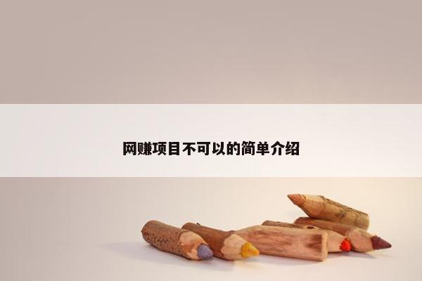 网赚项目不可以的简单介绍