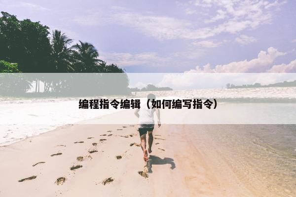 编程指令编辑（如何编写指令）