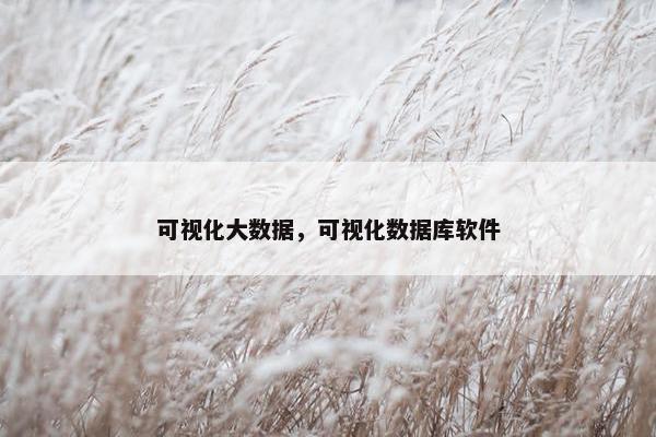 可视化大数据,可视化数据库软件 可视化大数据,可视化数据库软件