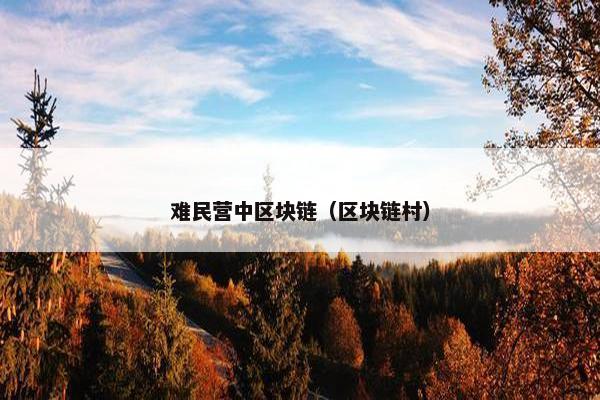 难民营中区块链（区块链村）